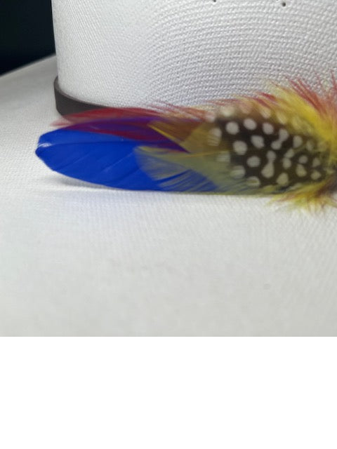 Cowboy Hat Feather pin